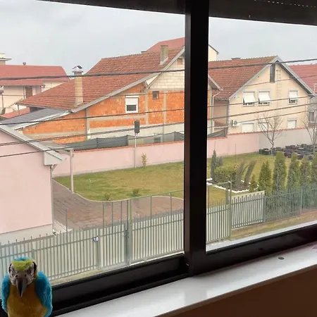 Lägenhet Charlie&blueberries 1 Belgrad