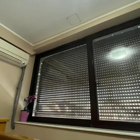 Charlie&blueberries 1 Lägenhet Belgrad