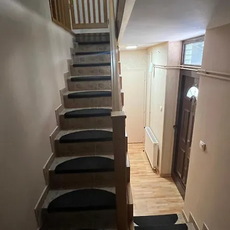 Daire Charlie&blueberries 1 *