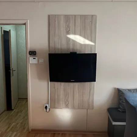 Charlie&blueberries 1 Belgrad