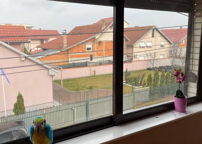 Apartamento Charlie&blueberries 1 Belgrado