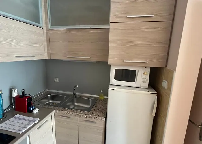 Charlie&blueberries 1 * Belgrado